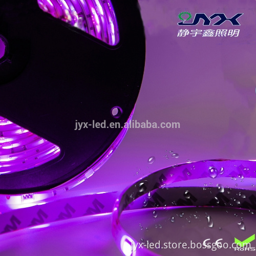 High CRI Single Color SMD 5050 LED Strip 12v 30leds per meter led strip light Flexible garden led Lights